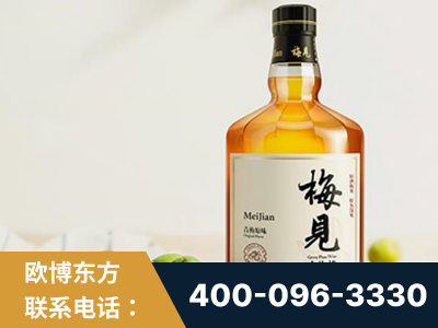 如皋-梅见青梅酒